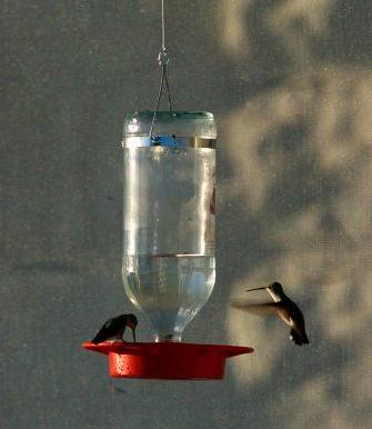 Comedero para Colibríes