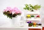 hogar decorado con flores