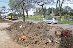 Técnicas para remover árboles