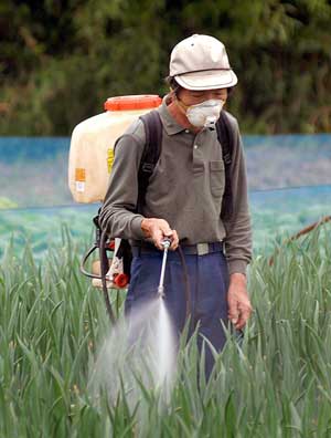 Rociar pesticidas de manera segura