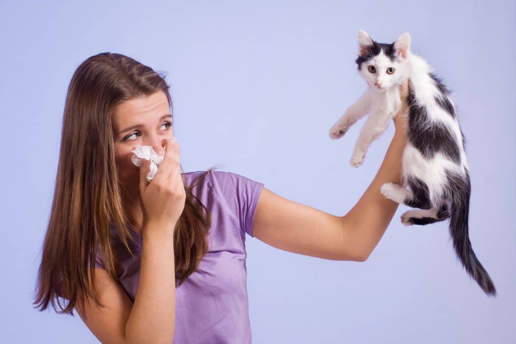 Alergia y mascotas