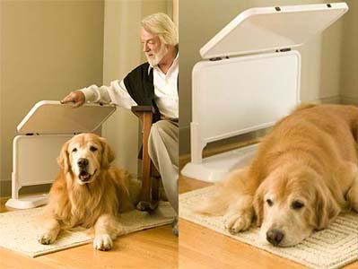 Displasia De Cadera Canina Signos Sintomas Y Consejos Para Prevenirla Visitacasas Com