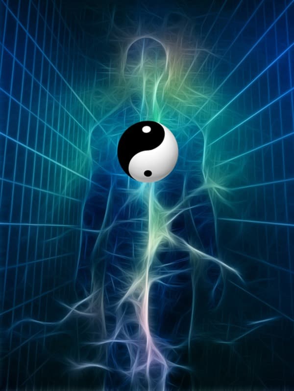 el Yin y yang